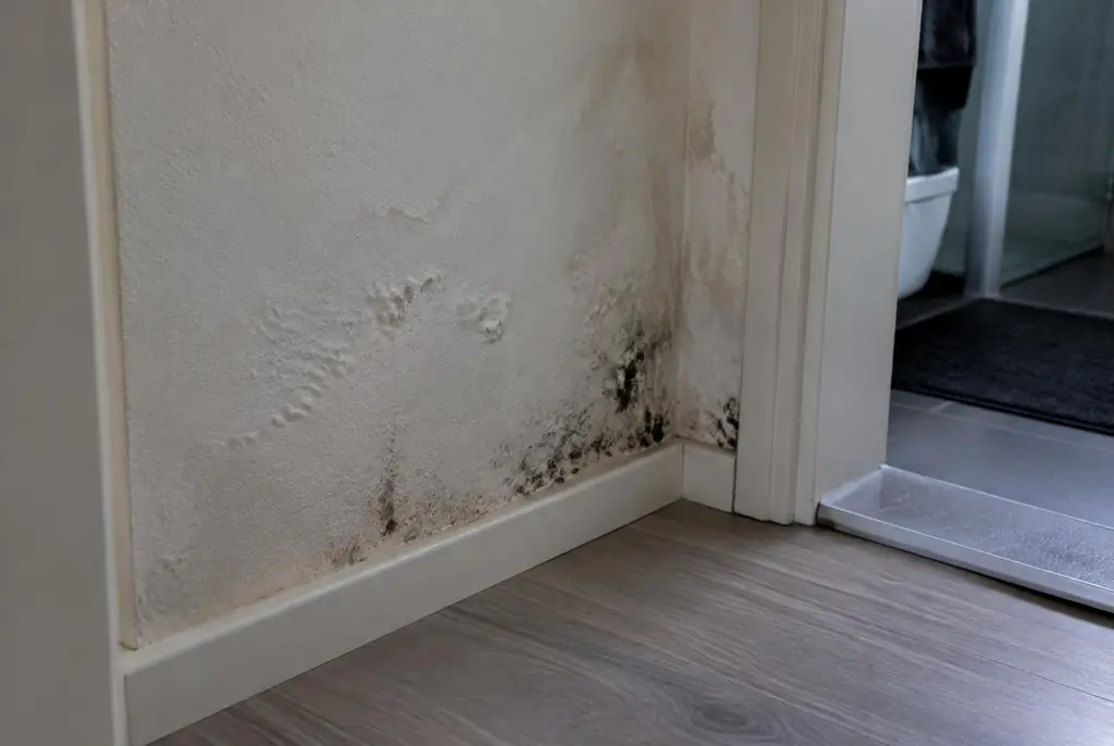 Lekdetectie Blaricum – vochtplek met schimmel op een muur